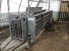 Sheep handling system