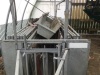 Sheep handling system - 4