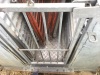 Sheep handling system - 7