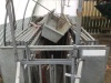 Sheep handling system - 13