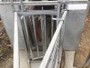 Sheep handling system - 14