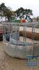 CATTLE RING FEEDER