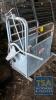 Ritchie Galvanised Calf Dehorning Crate