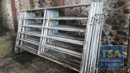 10 No. 10' x 64" Galvanised Cattle Handling Gates cw Pins