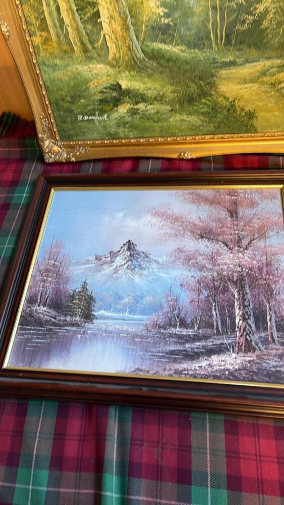 2 FOREST SCENE PICTURES