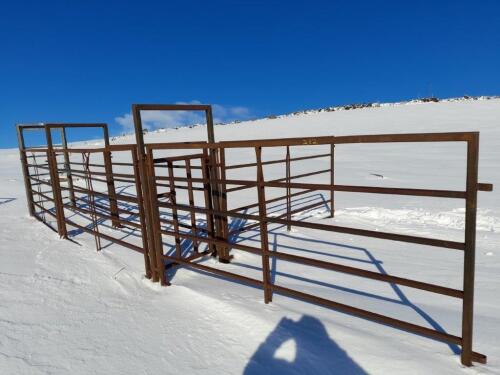 CATTLE HANDLING PEN & RACE