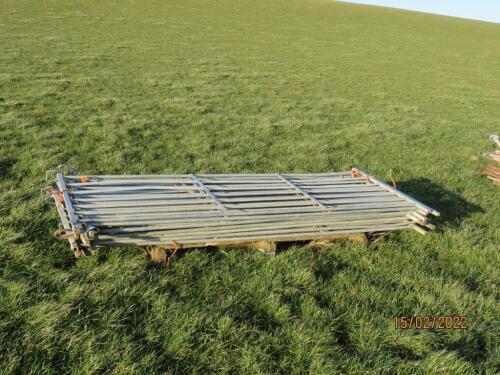 9 FT SHEEP HURDLES