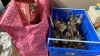 BOX TROPHIES & BAG XMAS DECORS. ETC