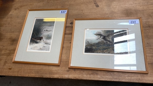 2 PRINTS BIRDS BY A THORBURN