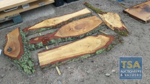 5 OAK OFFCUTS - RECENTLY CUT