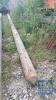 TELEGRAPH POLE