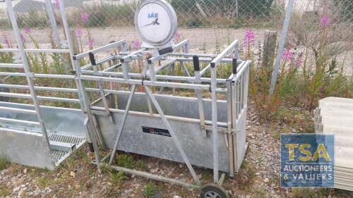 LAMB WEIGHING CRATE