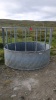 Cow feeding ring