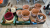 3 BOXES FLOWER POTS