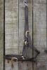 Leather Miniature Headcollar – Marked Shires Baby 1, good condition