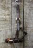 Leather Miniature Foal Headcollar – New
