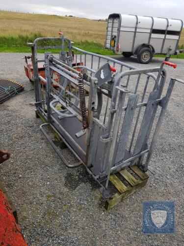 Sheep Turnover Crate