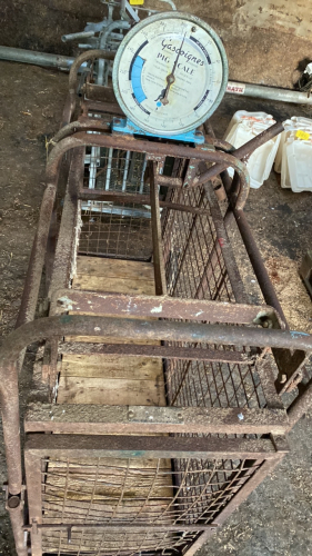 GASCOIGNES WEIGH CRATE