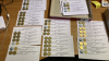 BOX 11 SHEETS VARIOUS £1 COINS- 67 IN TOTAL