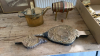 BOX ASSORTED METALWARE