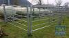 4 No. 10' x 5' Galvanised Cattle Handling Gates