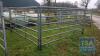 4 No. 10' x 5' Galvanised Cattle Handling Gates