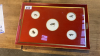 FISH FLIES TRAY