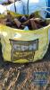 BULK BAG HARDWOOD FIREWOOD LOGS