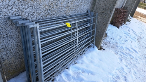 7 - 6 FT SHEEP GATES