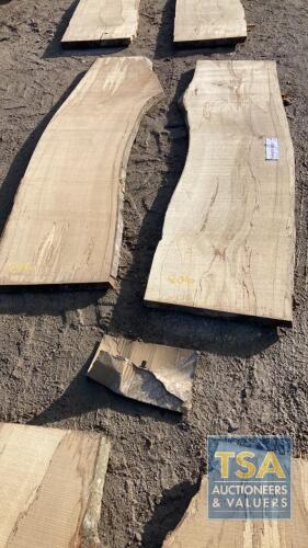 2 SPALTED BEECH SLABS 2200 X 600 X 50