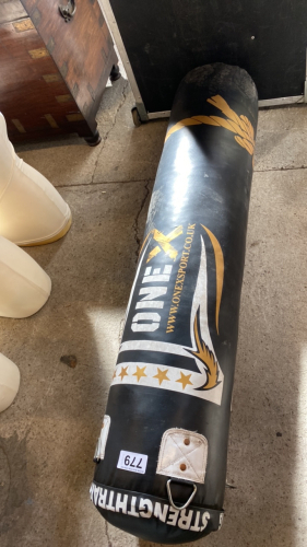 SPORTS PUNCH BAG
