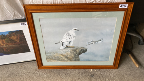 PRINT BY S G ROOKE OSPREY+ PLANE