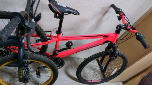 TEAM BICYCLE