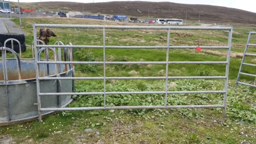 10ft Galvanised cattle hurdle