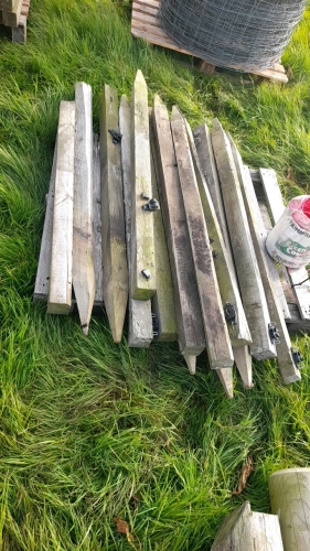 PALLET OF POSTS