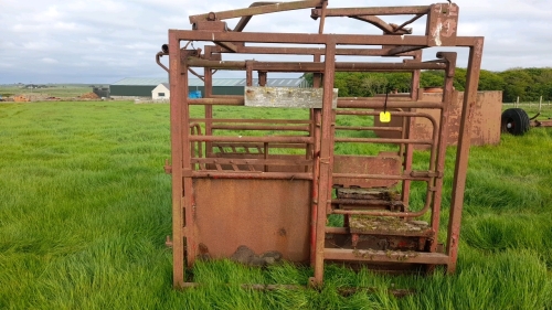 CATTLE CRATE