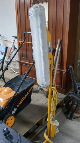 110 VOLT LIGHT