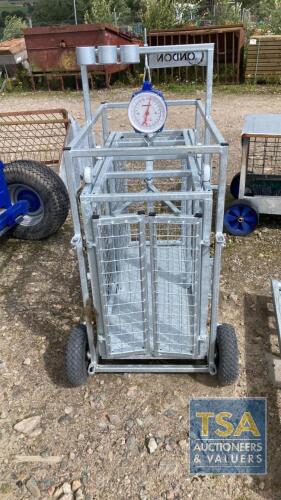 CONDON SHEEP WEIGH CRATE