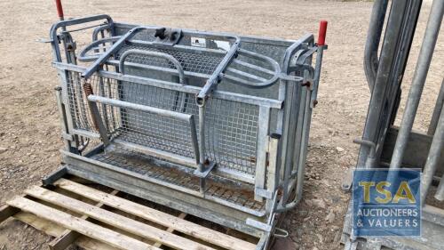 SHEEP TURNOVER CRATE