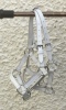 2x miniature white leather foal headcollars with chrome fittings.  Fully adjustable
