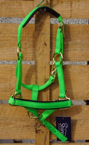 Shires nylon headcollar with padded nose and head. Size XXS pony
