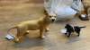 BESWICK BLACK LABRADOR & LIONESS