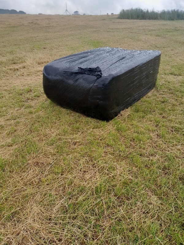 Square silage bales