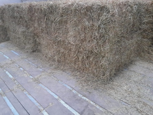 Quad bales of hay