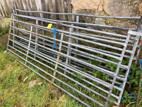 4 NO LONGER SHEEP HURDLES