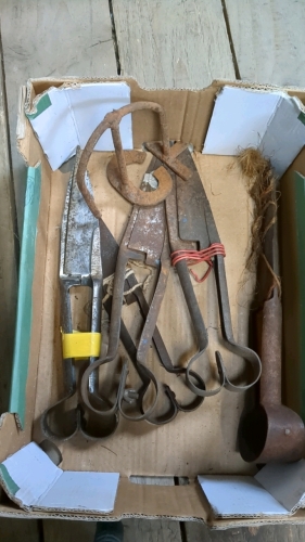 BOX SHEEP SHEARS