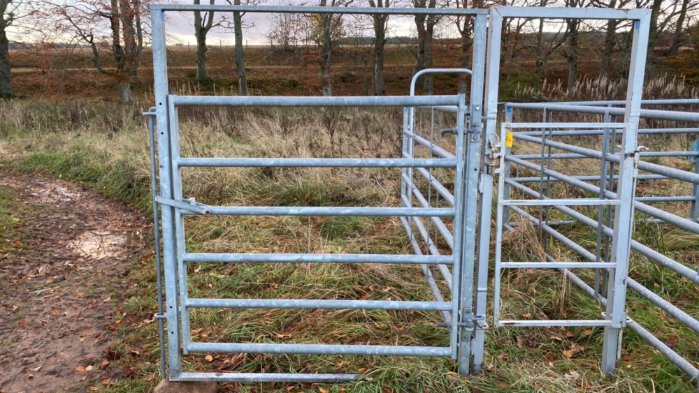 Cattle Handling Race & Escape Operator Gate