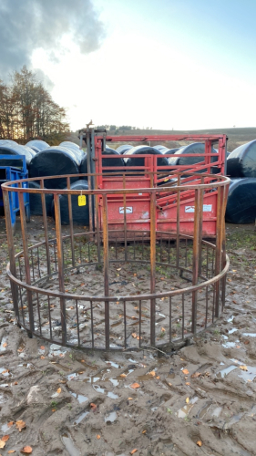 Cattle Feed Ring