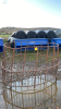 Cattle Feed Ring