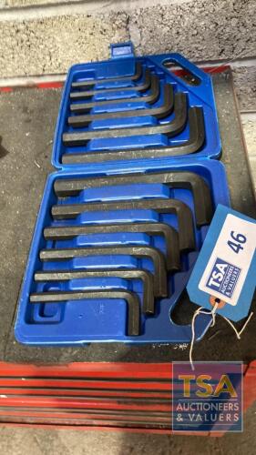 12 Piece Allen Key Set